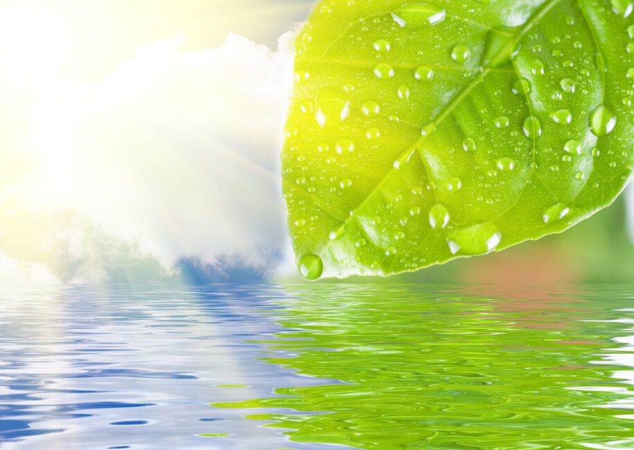 Co2
