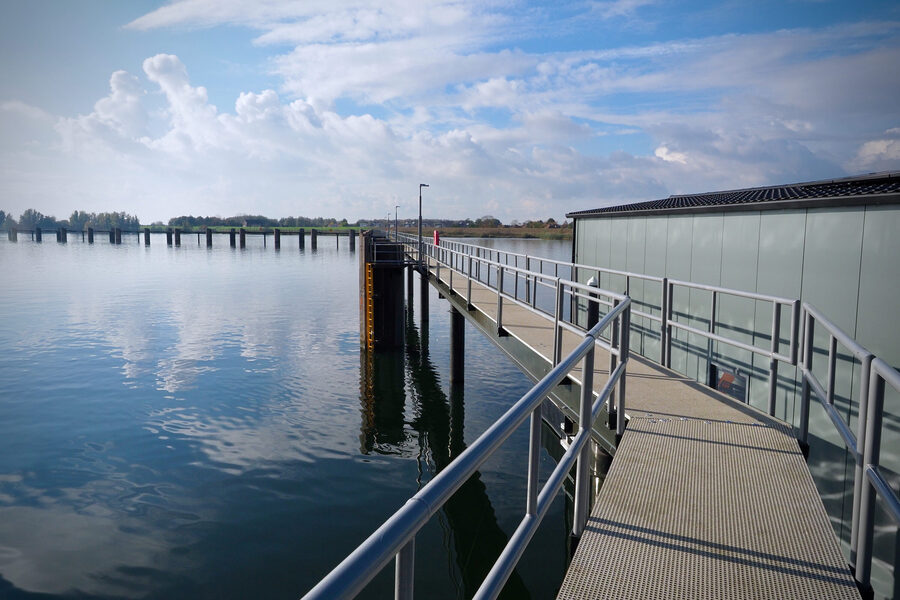 Tholen-013